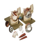 Eye Socket With Eyeball, 3X Magnification, 9 Parts,Model